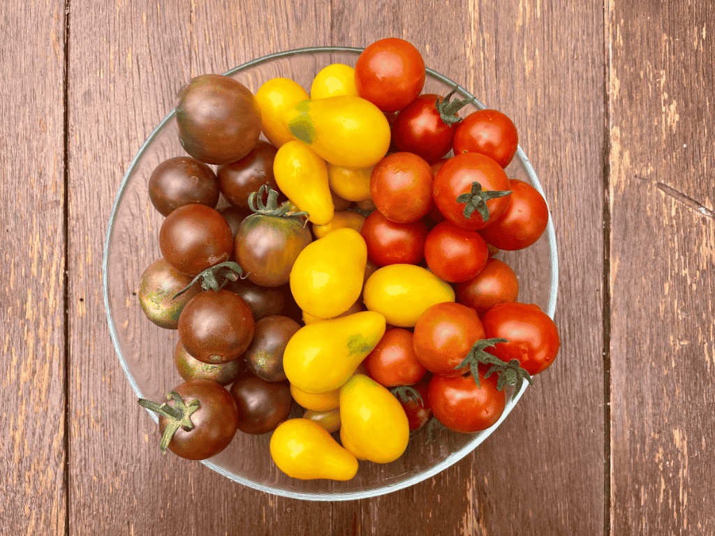 Tomater fra Høgaunet gård