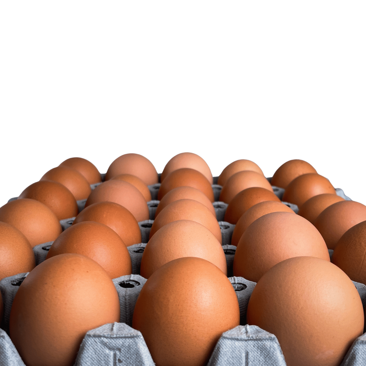 Brune egg fra Høgaunet gård